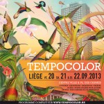 affiche Tempo Color 2013